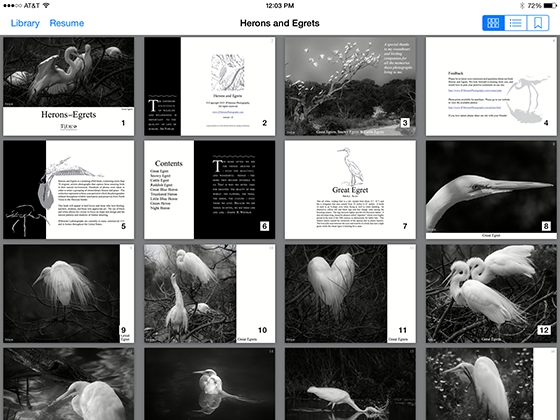 Herons and Egrets ePub
